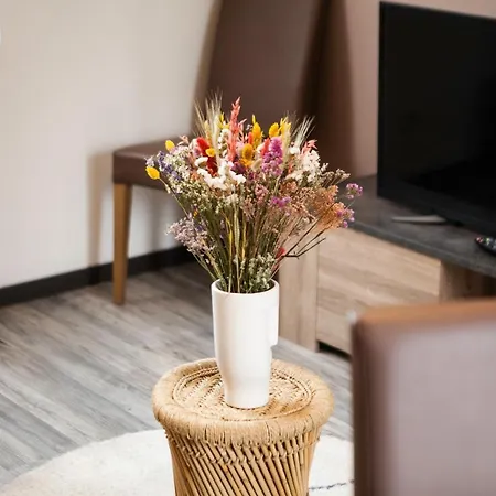 Apartament Le Du Louvre