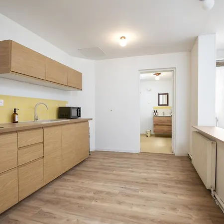 Apartament Le Du Louvre *