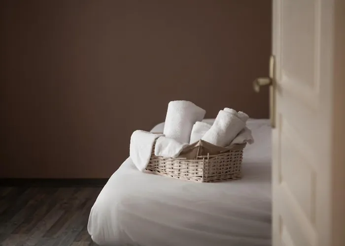 Appartement Le Du Louvre