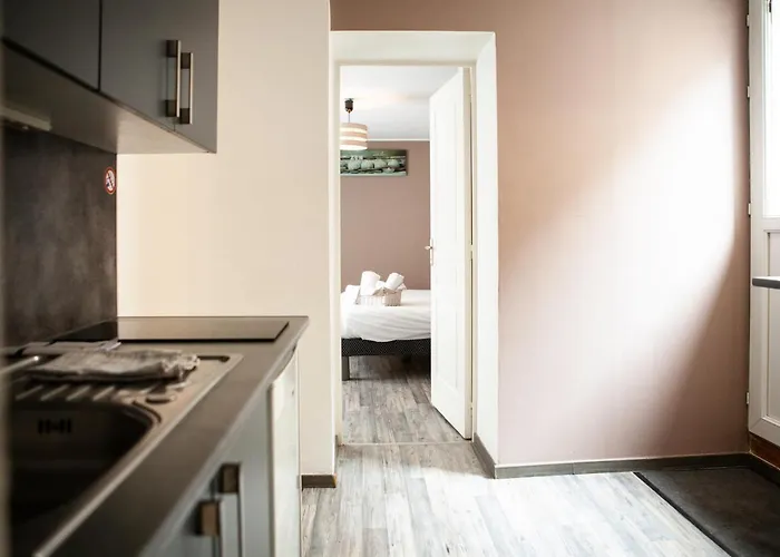 Appartement Le Du Louvre *