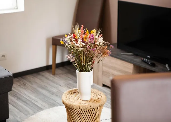 Appartement Le Du Louvre