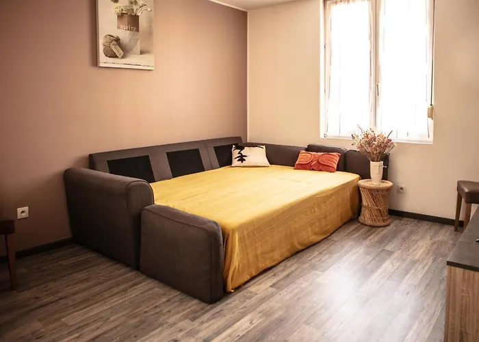 Appartement Le Du Louvre Lens