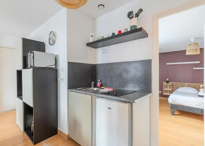 Appartement Le Du Louvre