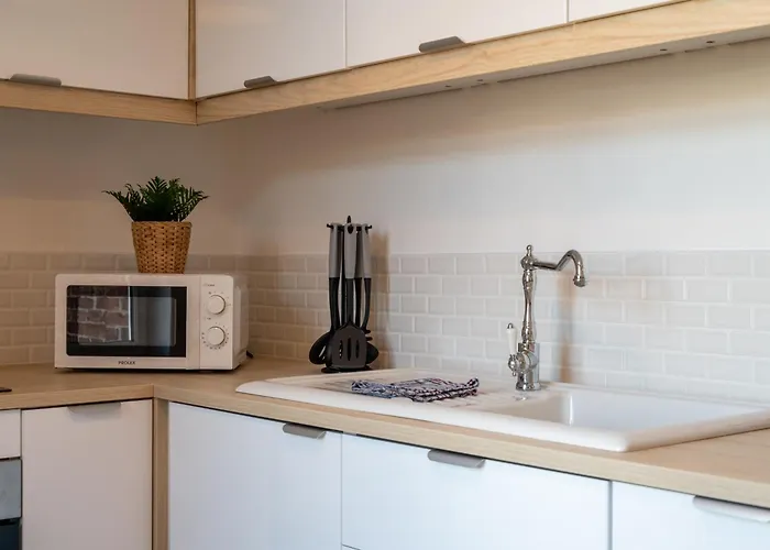 Appartement Le Du Louvre